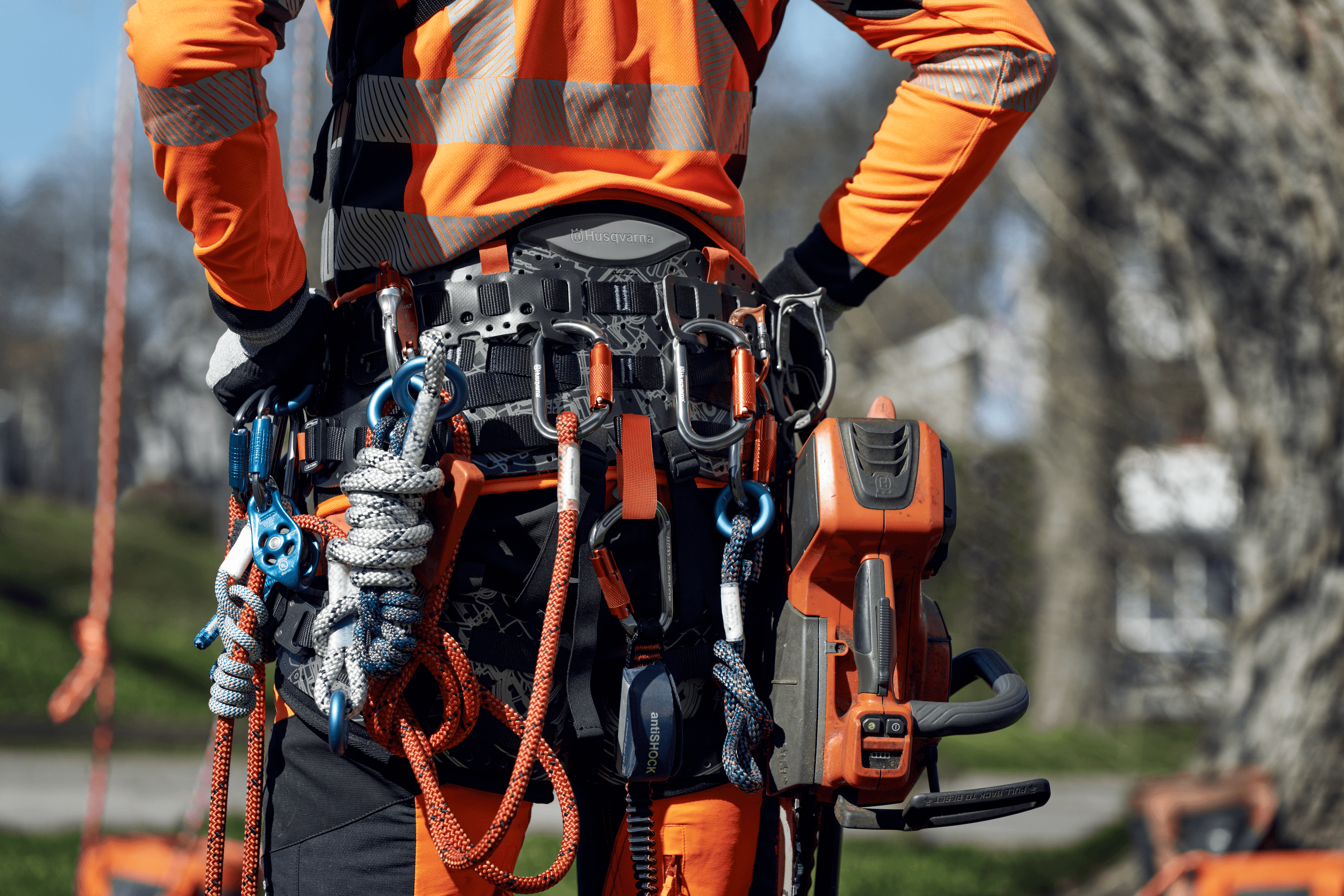 Climbing Harness image 4